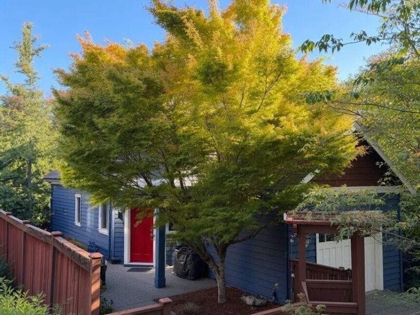 2858 NW 90th Place, Seattle WA 98117
