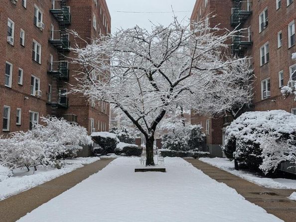 36 Cathedral Avenue 2C, Hempstead NY 11550