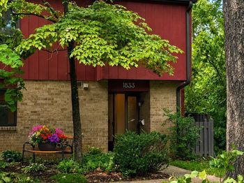 1833 Ivy Oak Square