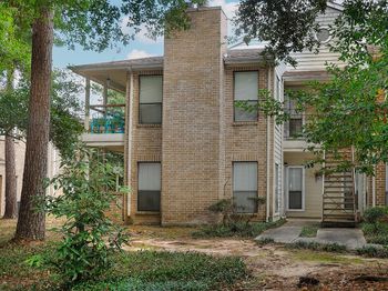 3500 Tangle Brush Drive