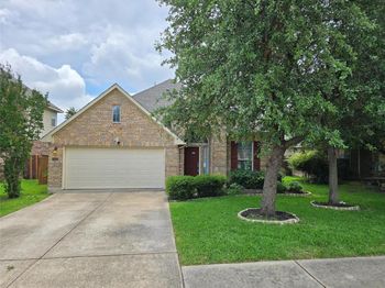 3440 Pine Needle CIR