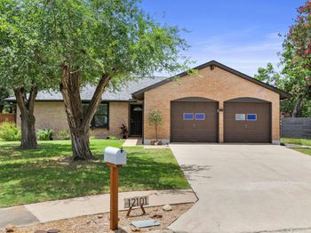 12101 Missel Thrush CT