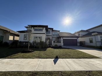 21319 Blue Wood Aster Court