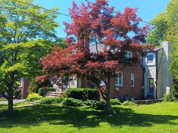 20 Davis Avenue