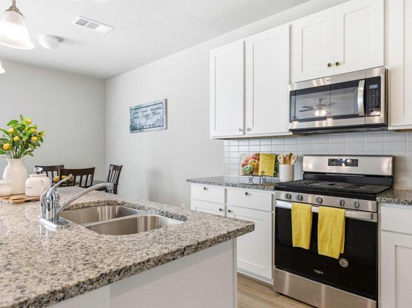 17205 Leafroller DR B, Pflugerville TX 78660