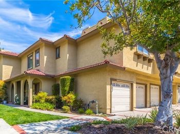 25261 Tanoak