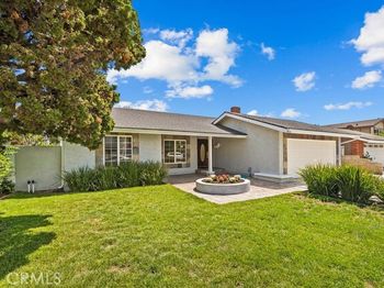3805 Alder
