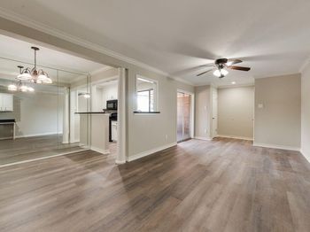 2802  Escada Drive 