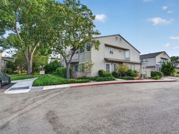 3422 Wine Cork Way