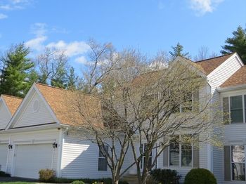 19 Brook Lane