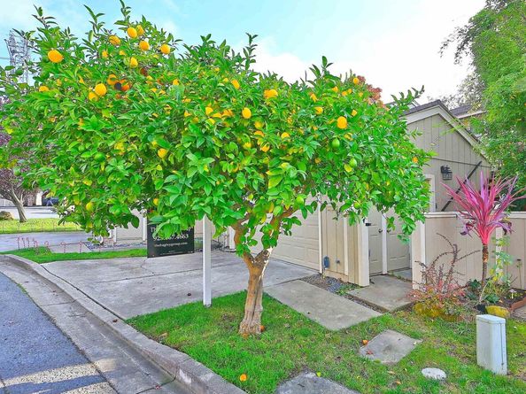 405 Thistle Cir, Martinez CA 94553