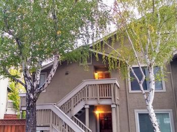3889 Crow Canyon Rd