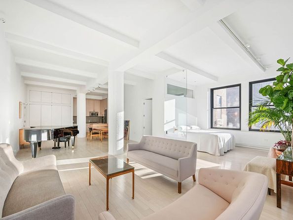 250 Mercer Street B1002, New York NY 10012