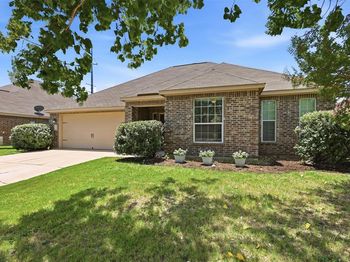 413  Water Oak  
