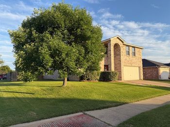 3214  Friesian Court 