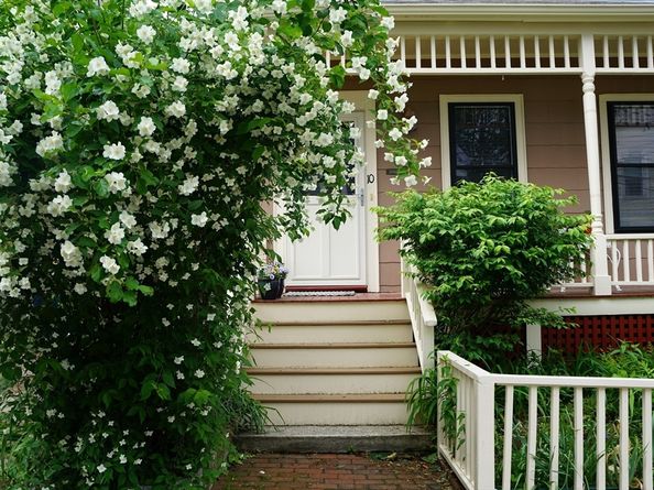 10 Mountain Ave, Somerville MA 02143