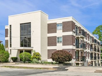 245 Lafayette Street