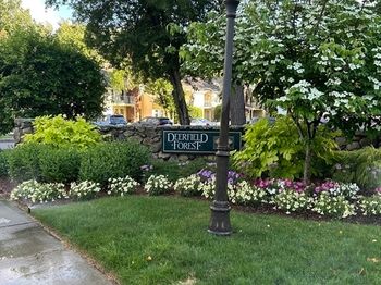 14 Walden Dr