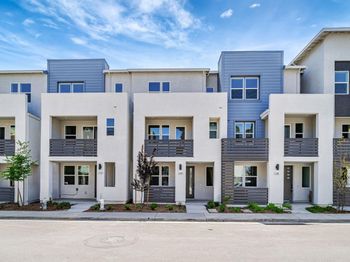 3310 Seashell Terrace