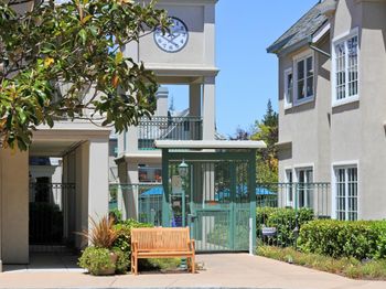 1 W Edith Avenue